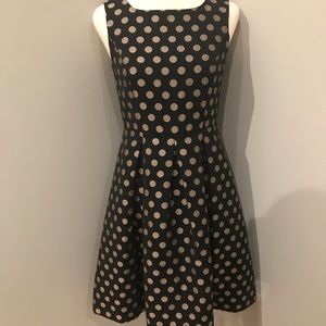 Talbots Polka Dot Dress